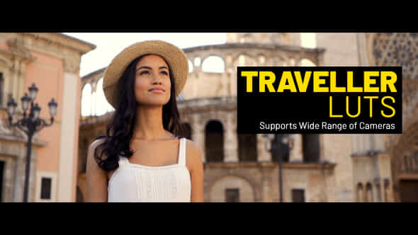 Traveller LUTs - VideoHive 38403425