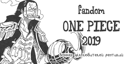 fandom one piece 2019