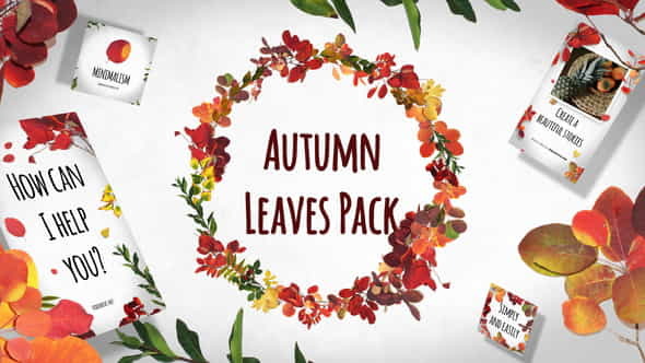 Autumn Leaves Pack - VideoHive 29195640