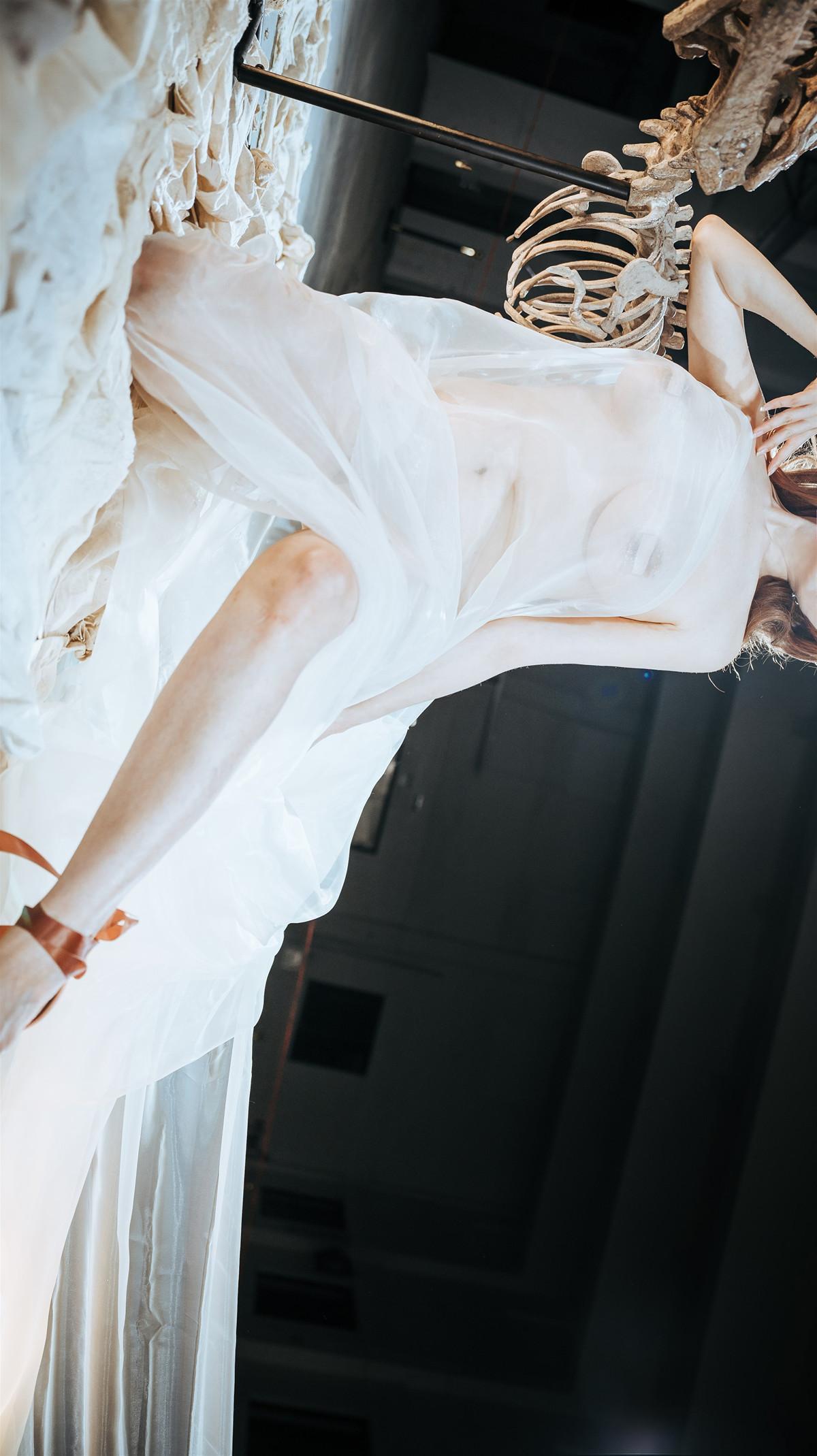 Cosplay 秋和柯基 夏小秋秋秋 纱(37)
