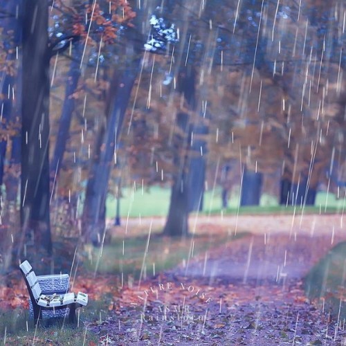 ASMR Rainstorm - Nature Noise - 2022