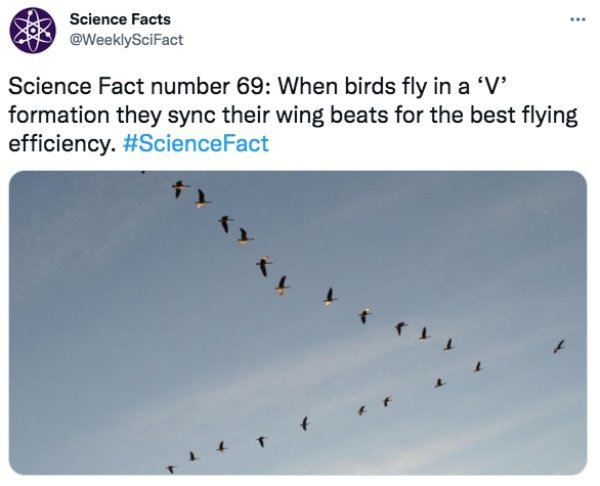 WEIRD SCIENCE & HISTORY FACTS KQQcs9B8_o