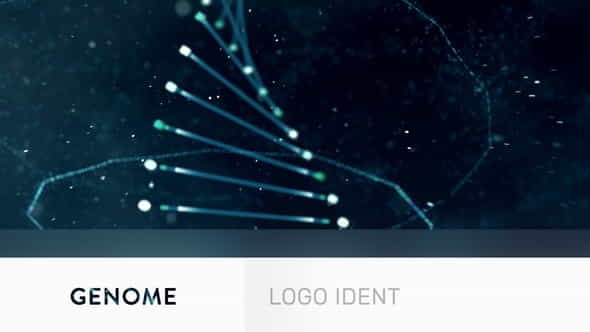 Genome - Logo Ident - VideoHive 7176548
