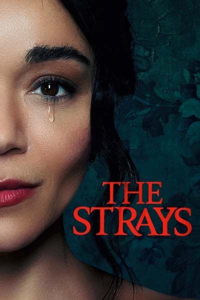 The Strays (2023) 1080p WEBRip x264-RARBG