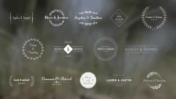 Wedding Titles - VideoHive 18849528