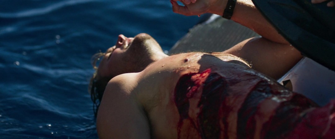 Shark Bait 2022 1080p WEB-DL DD5 1 H 264-EVO Shark Bait 2022 1080p WEB-DL DD5 1 H 264-EVO