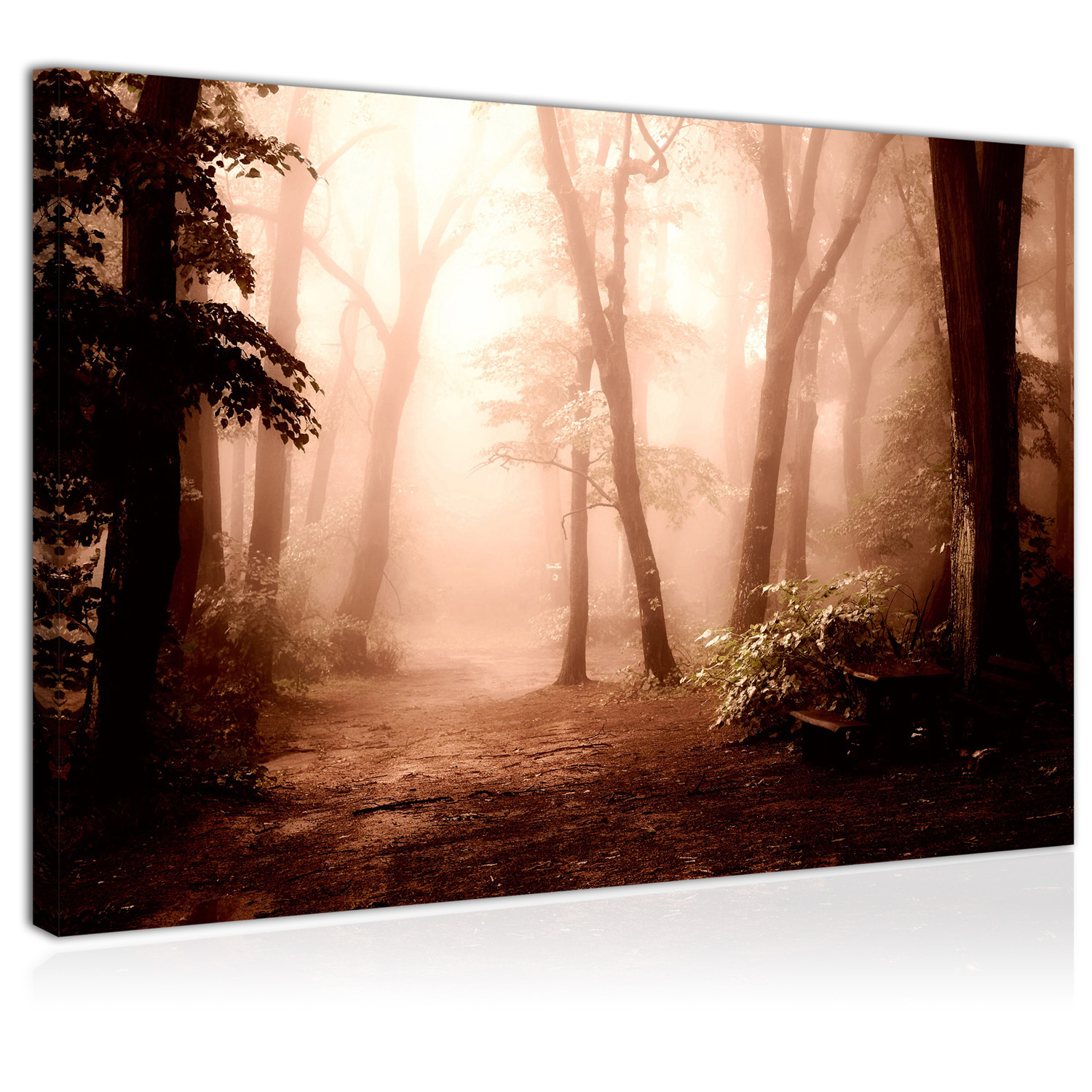 Leinwandbild Kunst-Druck 120x60 Bilder Landschaften Nebel im Wald