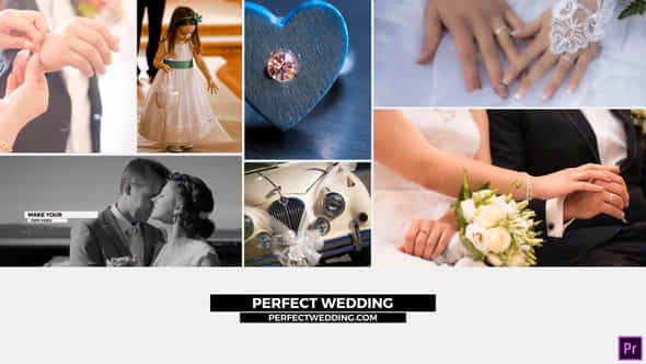 Perfect Wedding - VideoHive 44407132