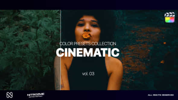 Cinematic LUT Collection - VideoHive 46466669
