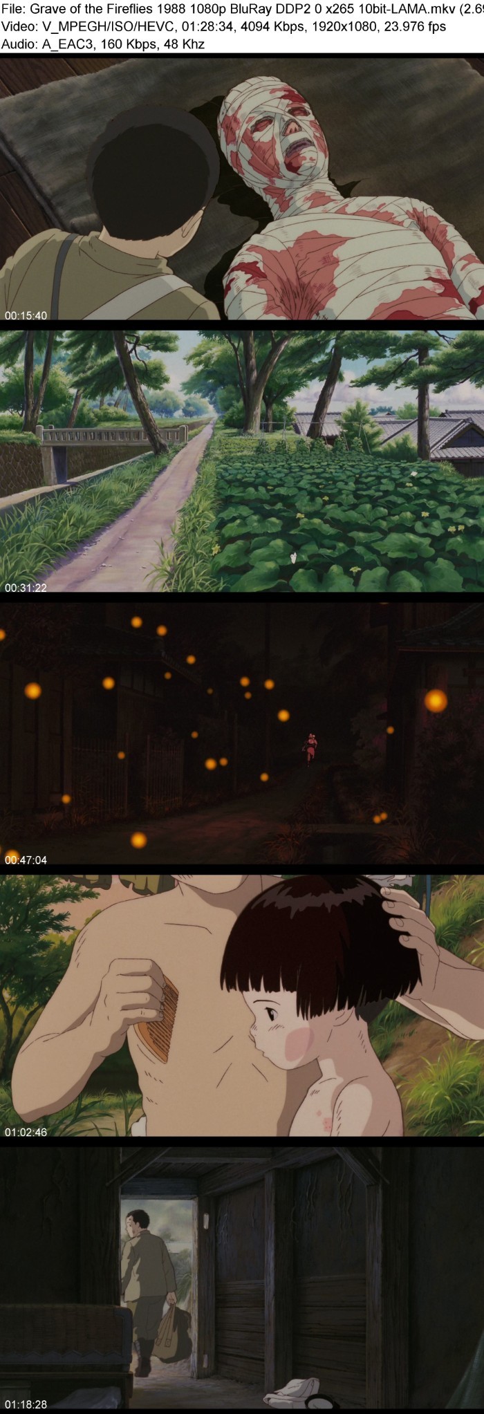 Grave of the Fireflies 1988 1080p BluRay DDP2 0 x265 10bit-LAMA ThWSePon_o