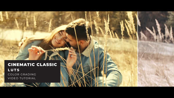 Cinematic Classic Luts - VideoHive 43902686