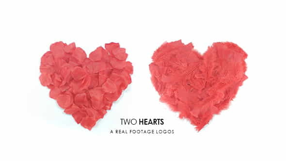 Two Hearts Logos - VideoHive 14871140