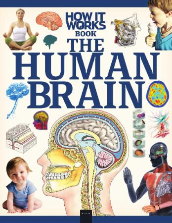 The Human Brain OCR - How It Works