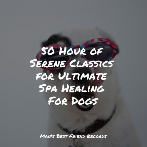 Music for Calming Dogs - 50 Hour of Serene Classics for Ultimate Spa Healing For Dogs - 2022