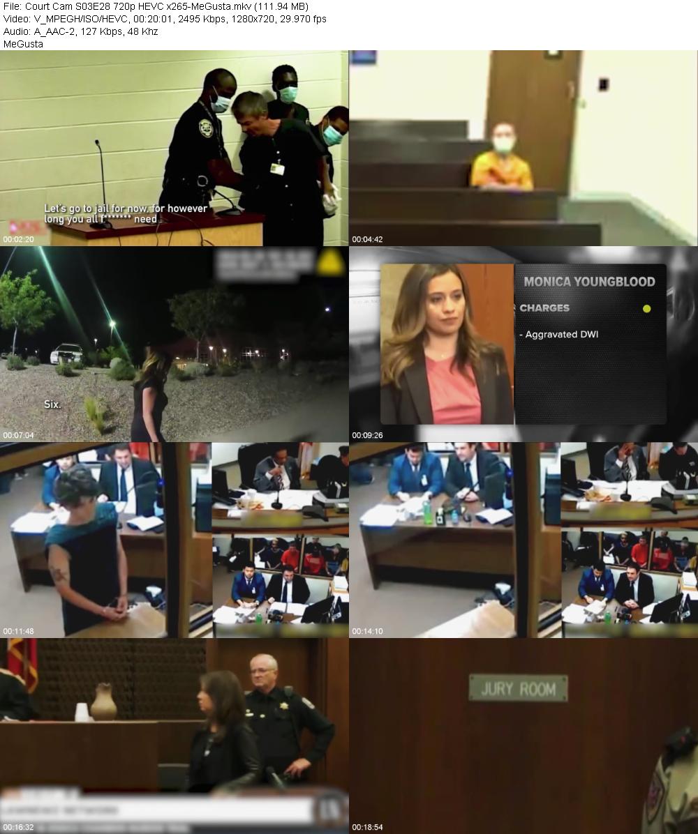 Court Cam S03E28 720p HEVC x265