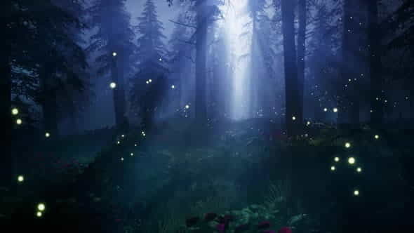Fireflies in a magical forest - VideoHive 33055373