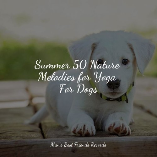 Relaxation Music For Dogs - Summer 50 Nature Melodies for Yoga For Dogs - 2022