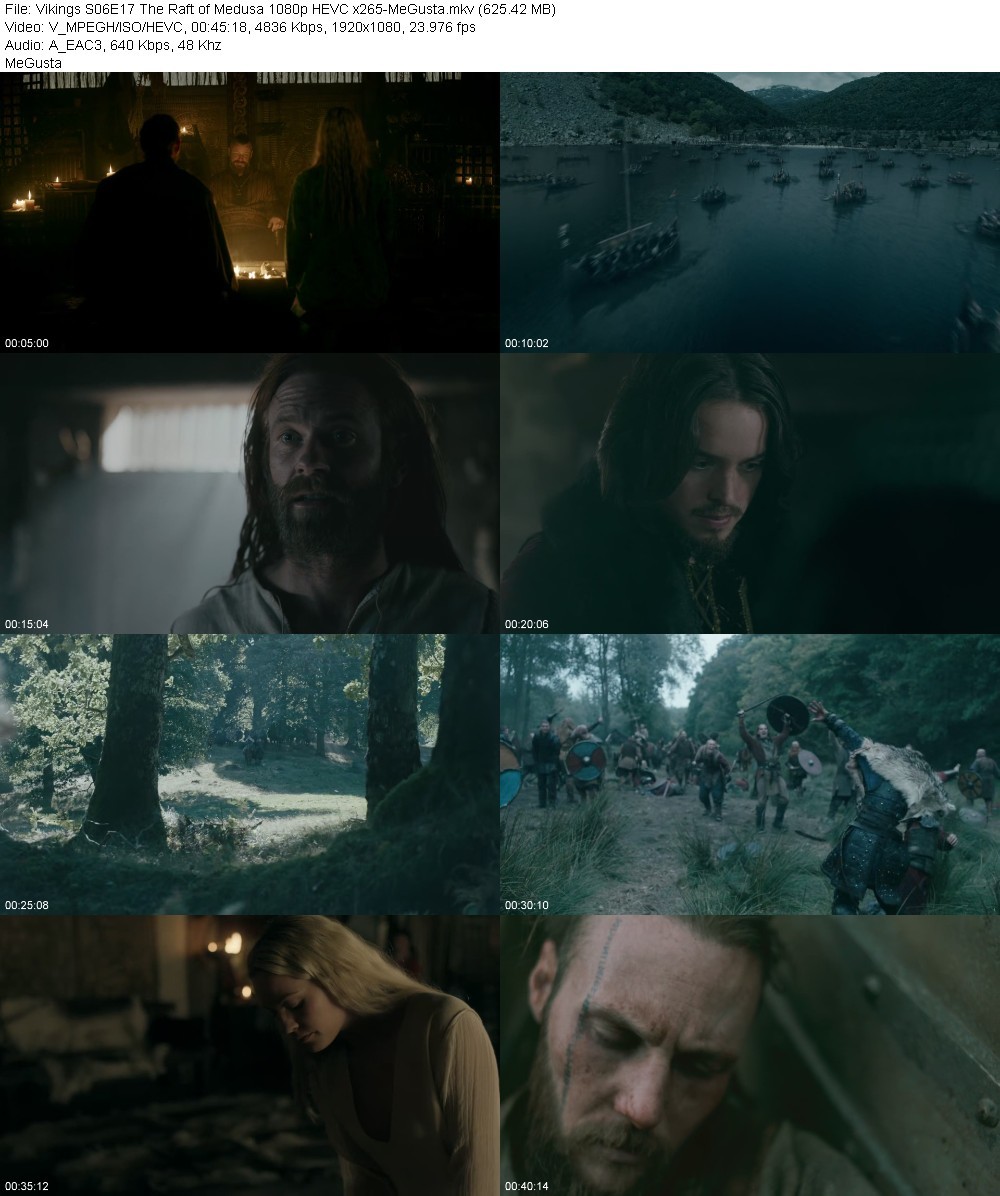 Vikings S06E17 The Raft of Medusa 1080p HEVC x265-MeGusta