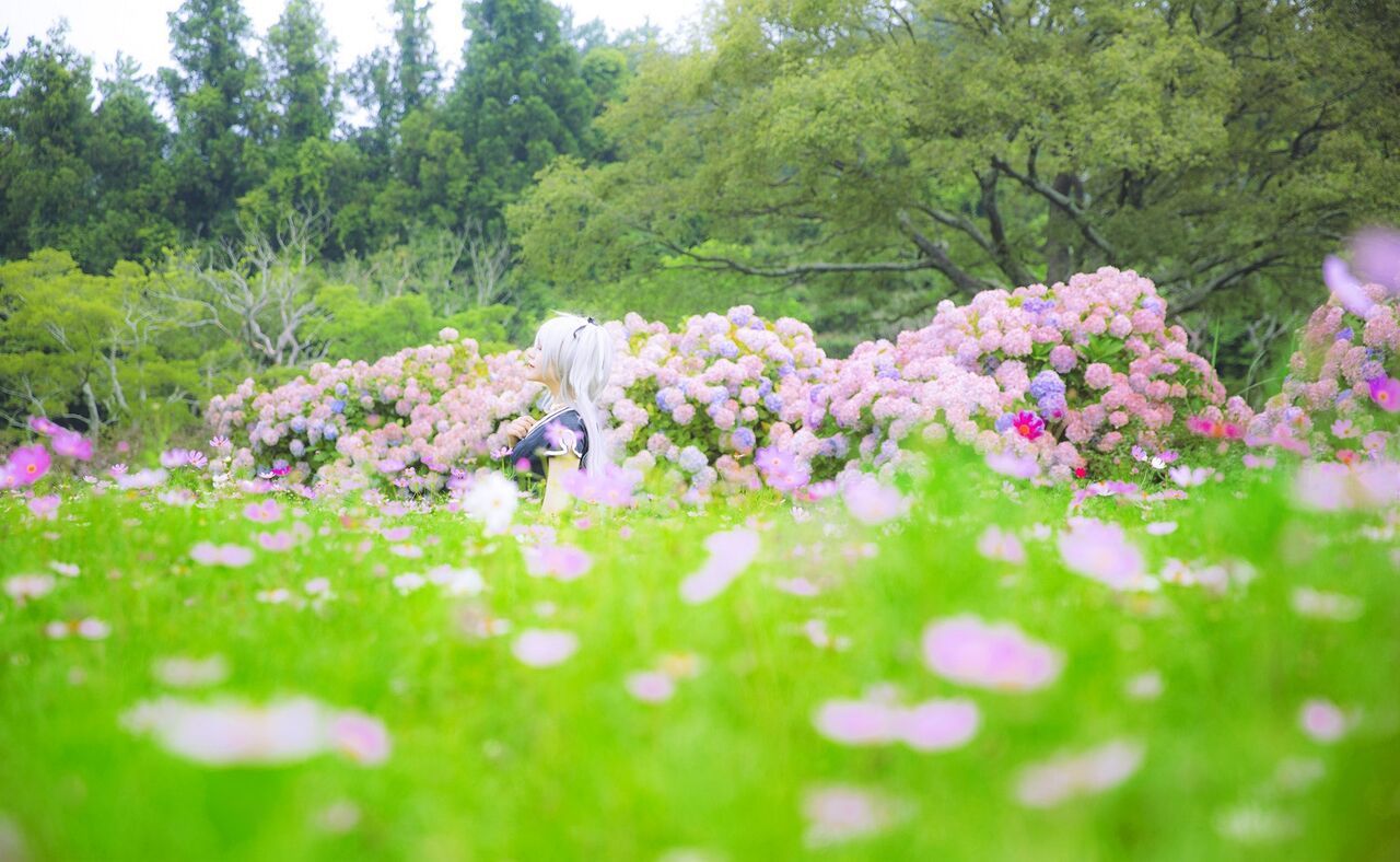 Akhee - Mabinogi Nao