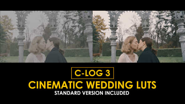 Clog3 Cinematic Wedding And Standard Color Luts - VideoHive 50930806