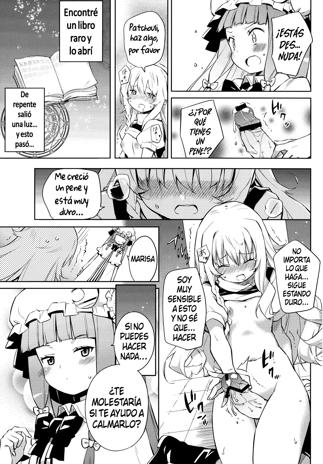 Scarlet Devil Mansion Stories Marisa X Patchouli (Story) - 5