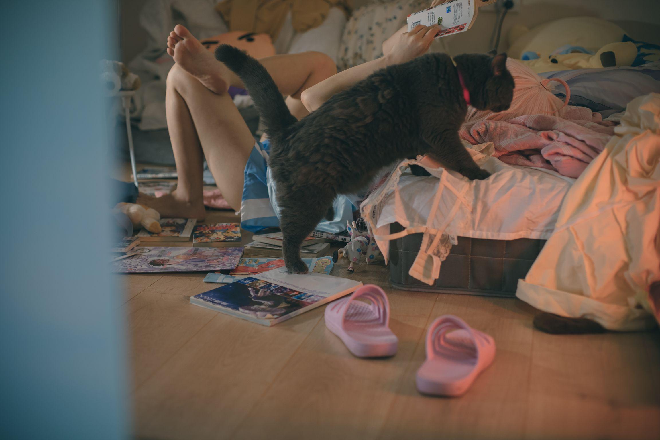 Coser@神沢永莉: 别当欧尼酱 (55 photos )(12)