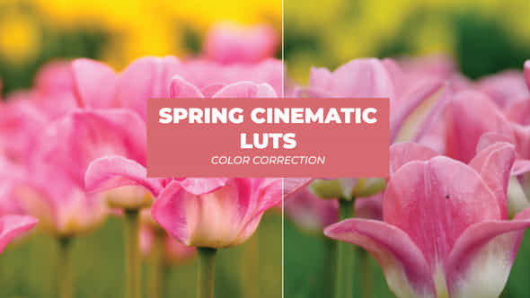 LUTs Spring Cinematic - VideoHive 43400213