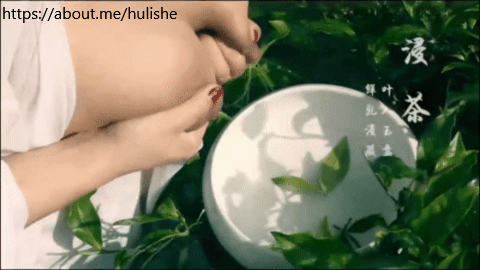 狐狸舍 大奶 狐狸舍 大奶