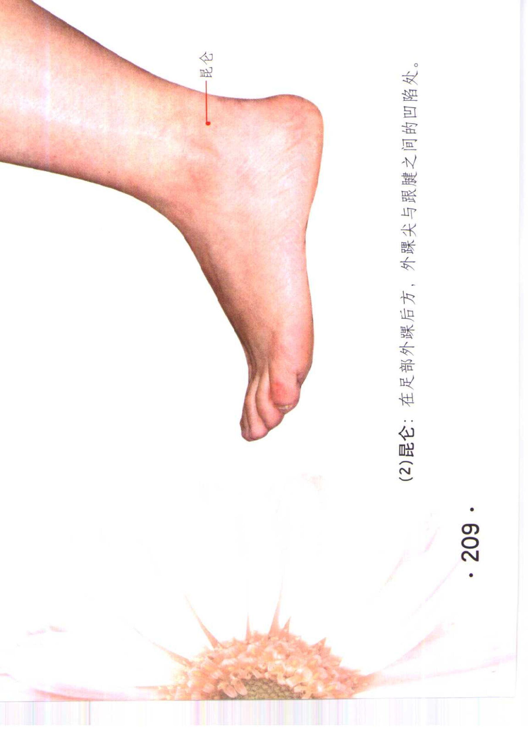 书籍扫描 乳房保健按摩彩色图谱(214)