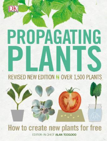 Propagating Plants - How to Create New Plants for Free