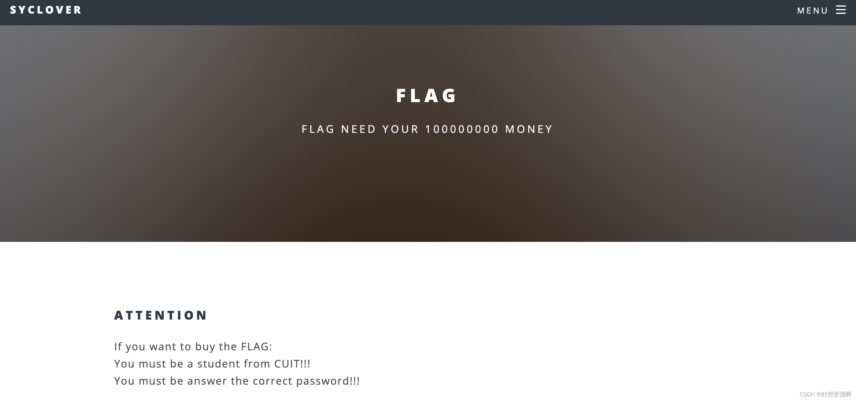 pay flag的界面