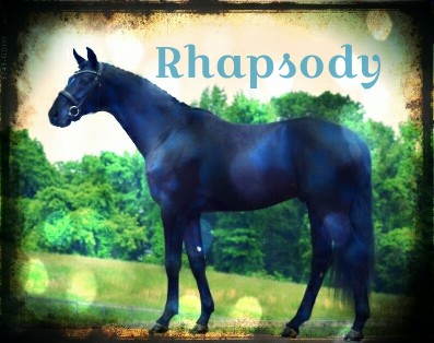 Rhapsody 2197 | 136 thp