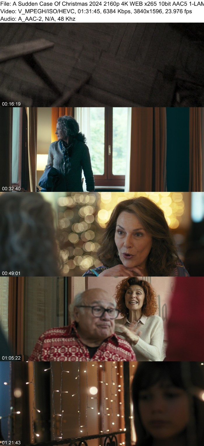 A Sudden Case Of Christmas (2024) 2160p 4K WEB 5 1-LAMA SCObUhaL_o