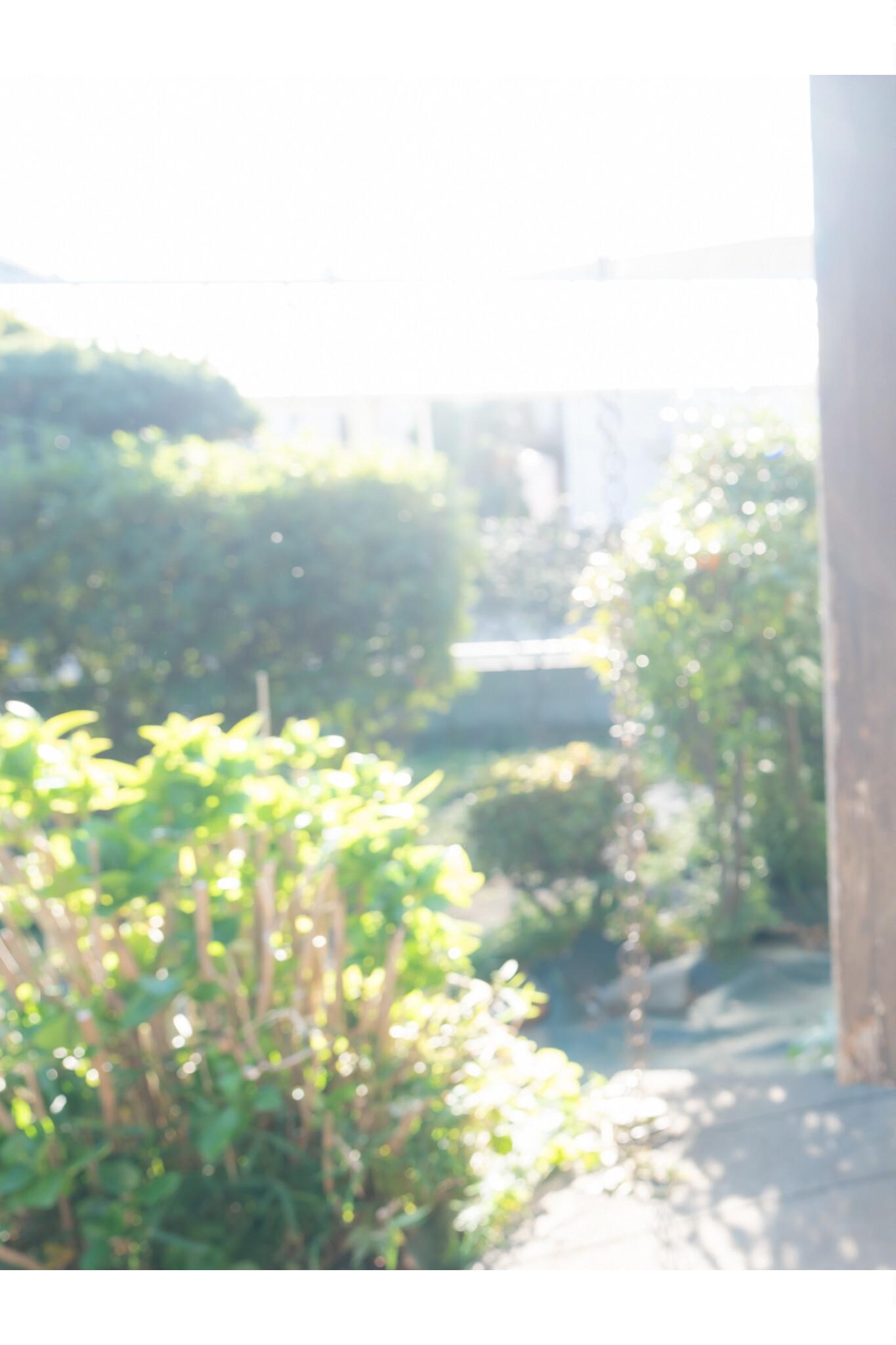 Miyabi Nagano 長野雅, デジタル写真集 グラビアプレス 「帰省」 Set.03(9)