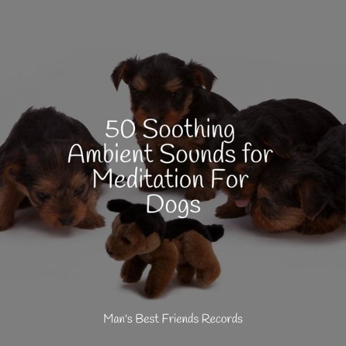 Sleep Music For Dogs - 50 Soothing Ambient Sounds for Meditation For Dogs - 2022