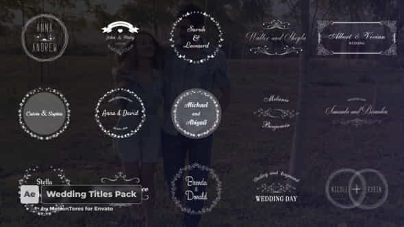 Wedding Titles - VideoHive 23796801