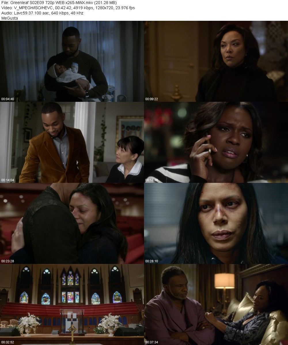 Greenleaf S02E09 720p WEB x265-MiNX