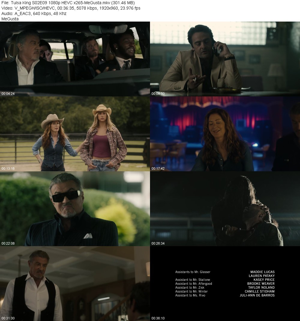 Tulsa King S02E09 1080p HEVC x265-MeGusta