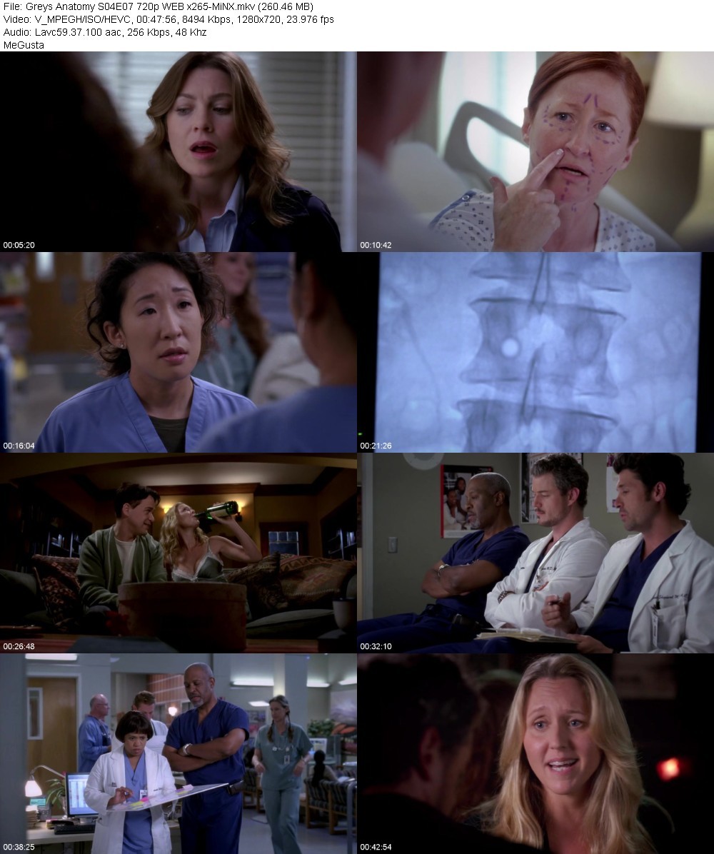 Greys Anatomy S04E07 720p WEB x265-MiNX