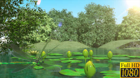 Lilies and Dragonfly - VideoHive 40026892