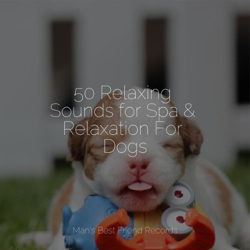 Pet Care Club - 50 Relaxing Sounds for Spa & Relaxation For Dogs - 2022