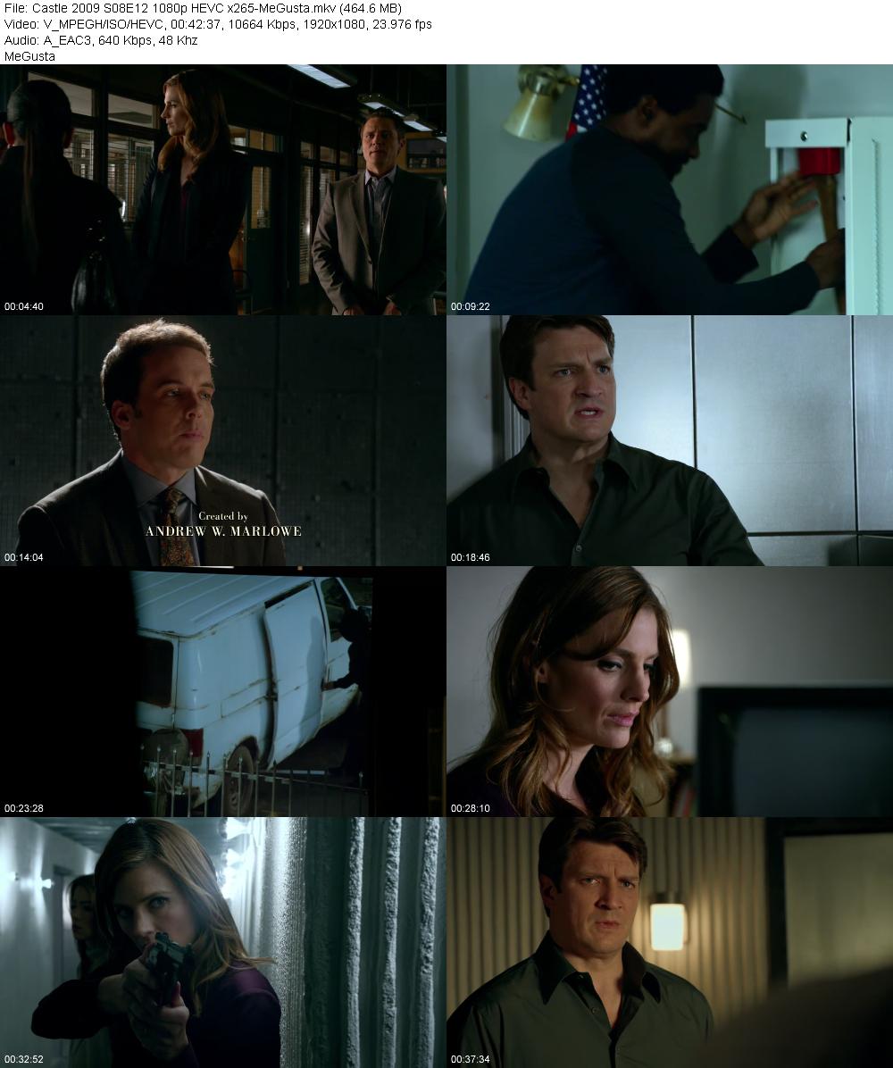 Castle 2009 S08E12 1080p HEVC x265 MeGusta