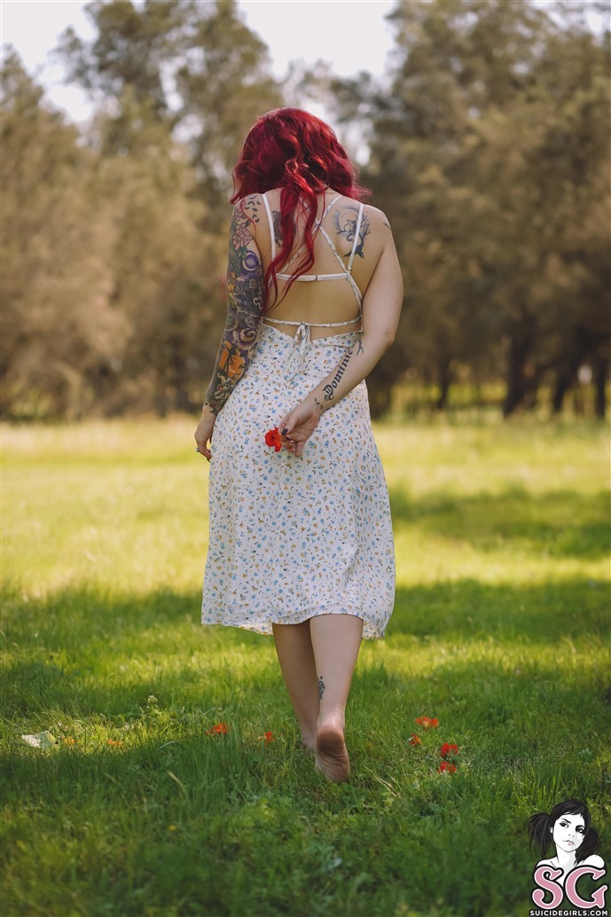 Tarquinne Suicide, A walk in the park