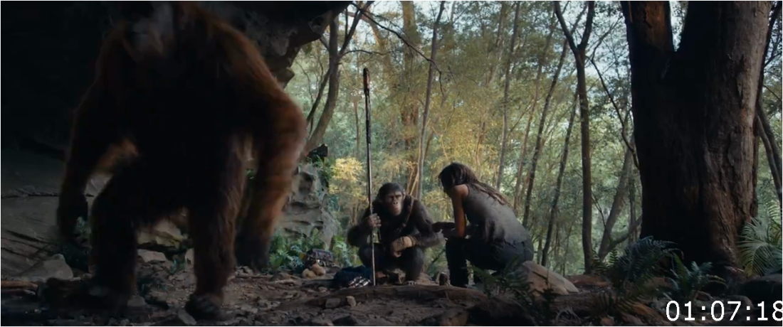 Kingdom Of The Planet Of The Apes (2024) [1080p/720p] WEBrip (x264) [6 CH] YuUySV6V_o