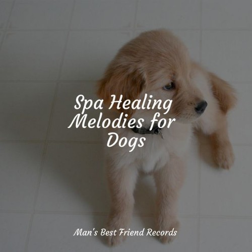 Music For Dogs Peace - Spa Healing Melodies for Dogs - 2022