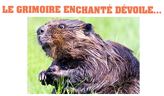 LE GRIMOIRE ENCHANTÉ - Page 3 UCH3ceWL_o