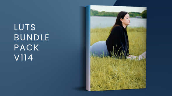Luts Bundle Pack V114 Davinci Resolve - VideoHive 50754347