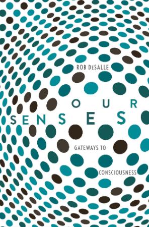 Our Senses An Immersive Experience