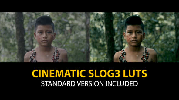 Slog3 Cinematic And Standard Color Luts - VideoHive 48800886