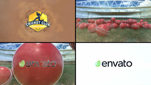 Cricket Logo Reveal 2 - VideoHive 50680896